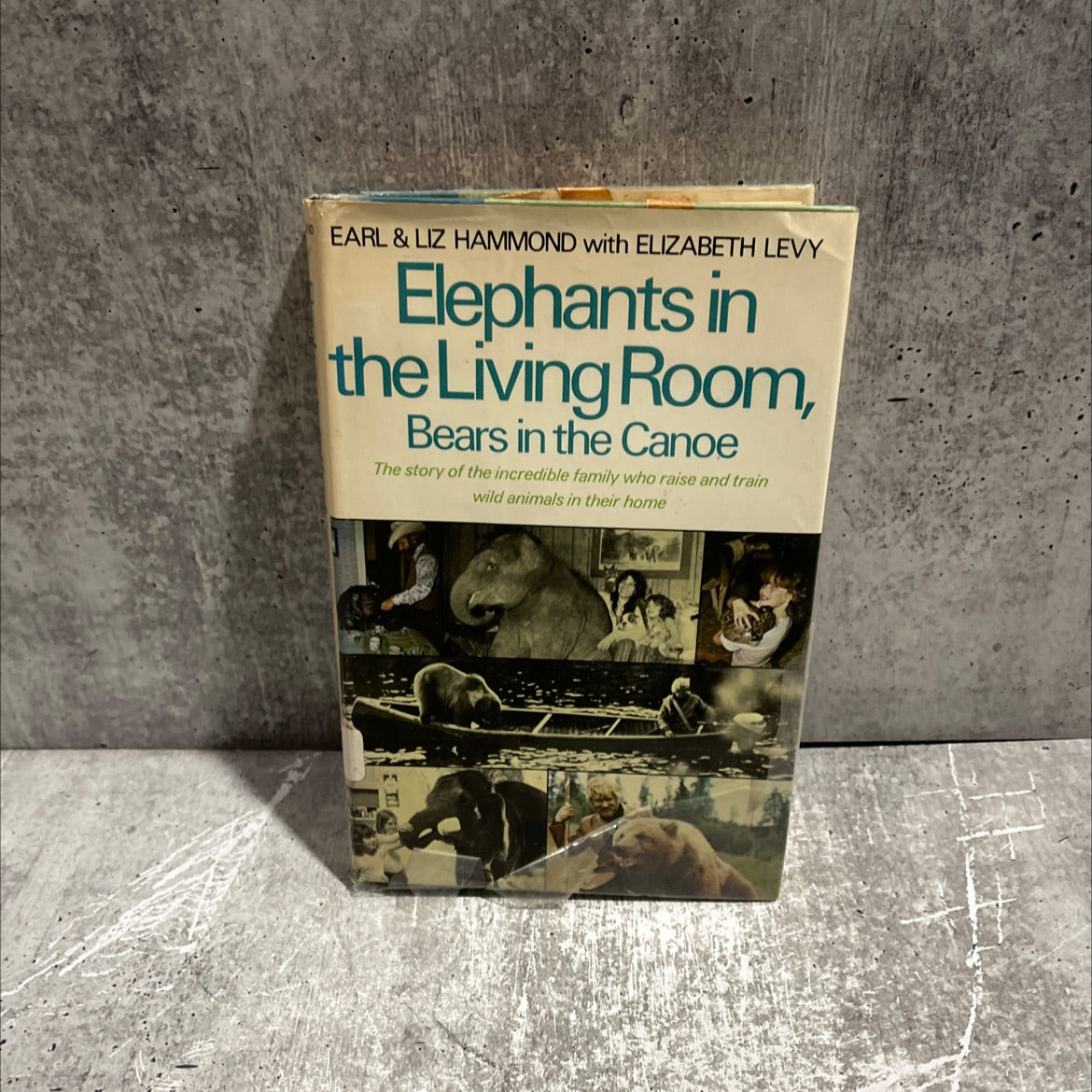 elephants in the living room, bears in the canoe book, by Earl & Liz Hammond, 1977 Hardcover image 1