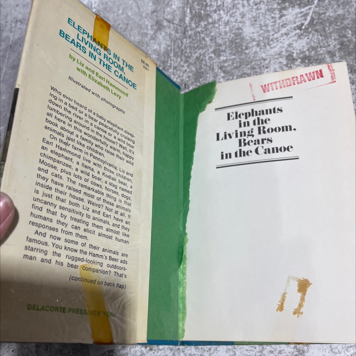 elephants in the living room, bears in the canoe book, by Earl & Liz Hammond, 1977 Hardcover image 4