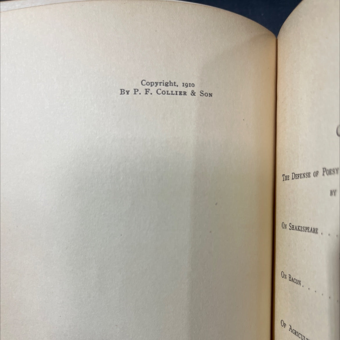english essays from sir philip sidney to macaulay book, by charles w eliot, 1910 Hardcover image 3