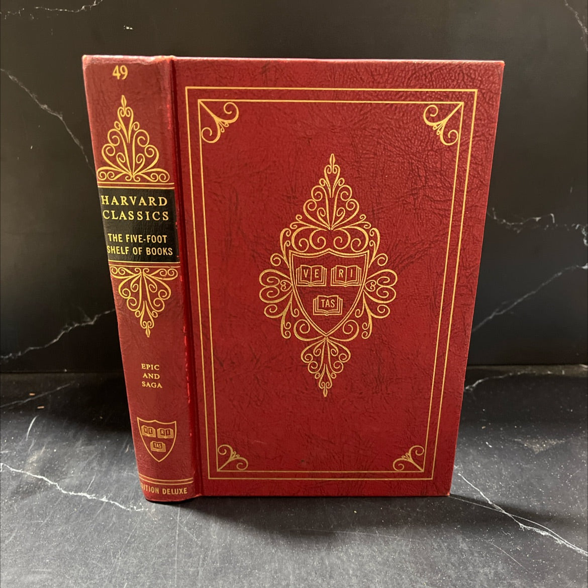 epic and saga beowulf the song of roland the destruction of dá derga's hostel the story of the volsungs and niblungs image 1