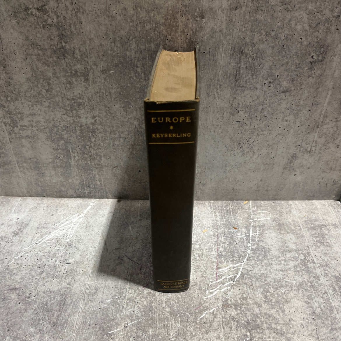 europe by count hermann keyserling book, by count hermann keyserling, 1928 Hardcover image 4