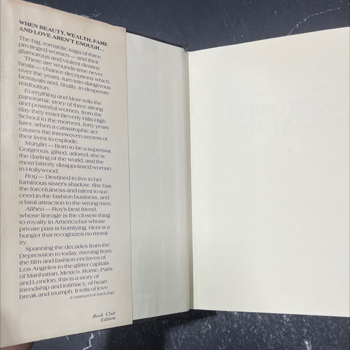 everything and more book, by Jacqueline Briskin, 1983 Hardcover image 4