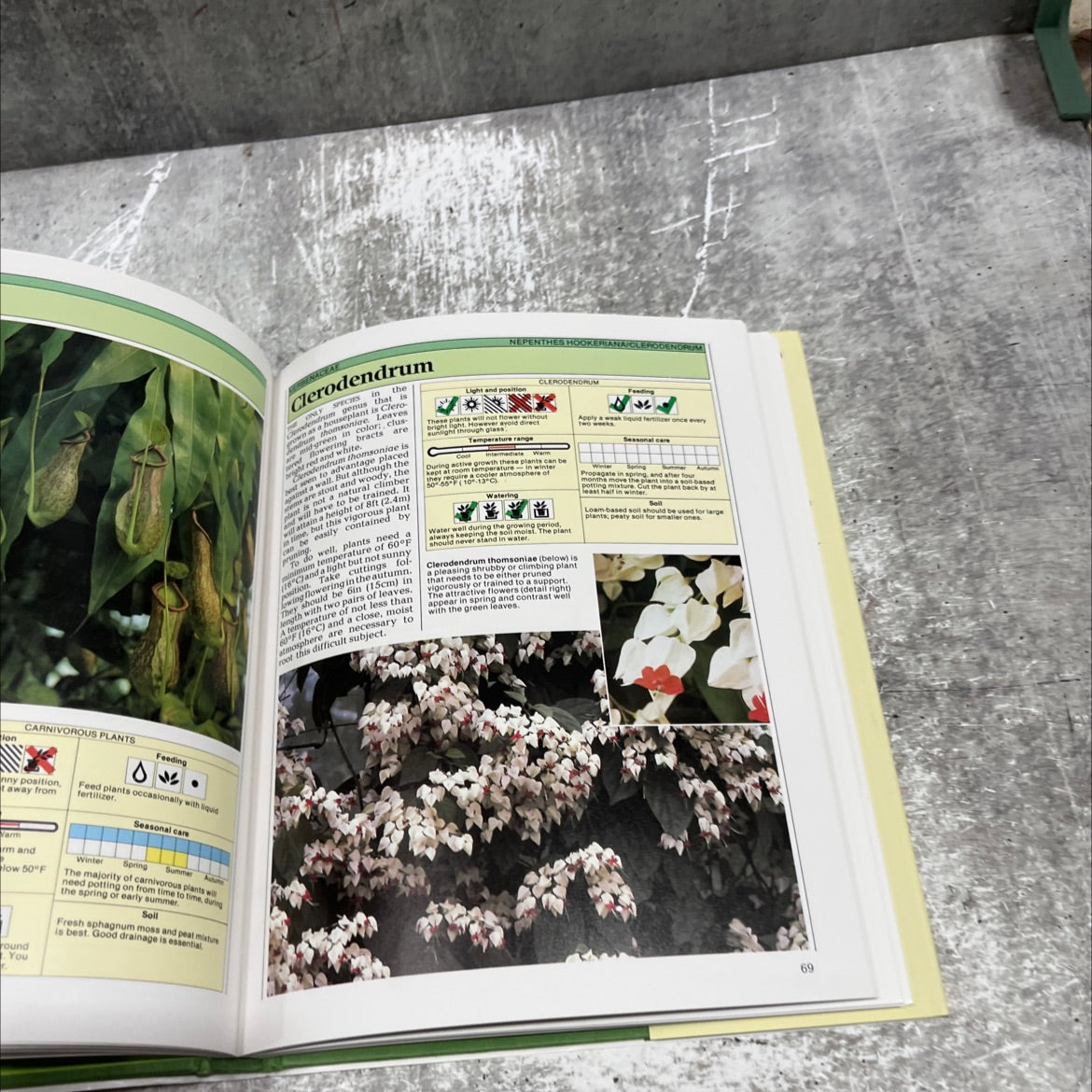 exotic indoor plants the easy guide to buying and growing spectacular varieties book, by William Davidson, 1984 image 4