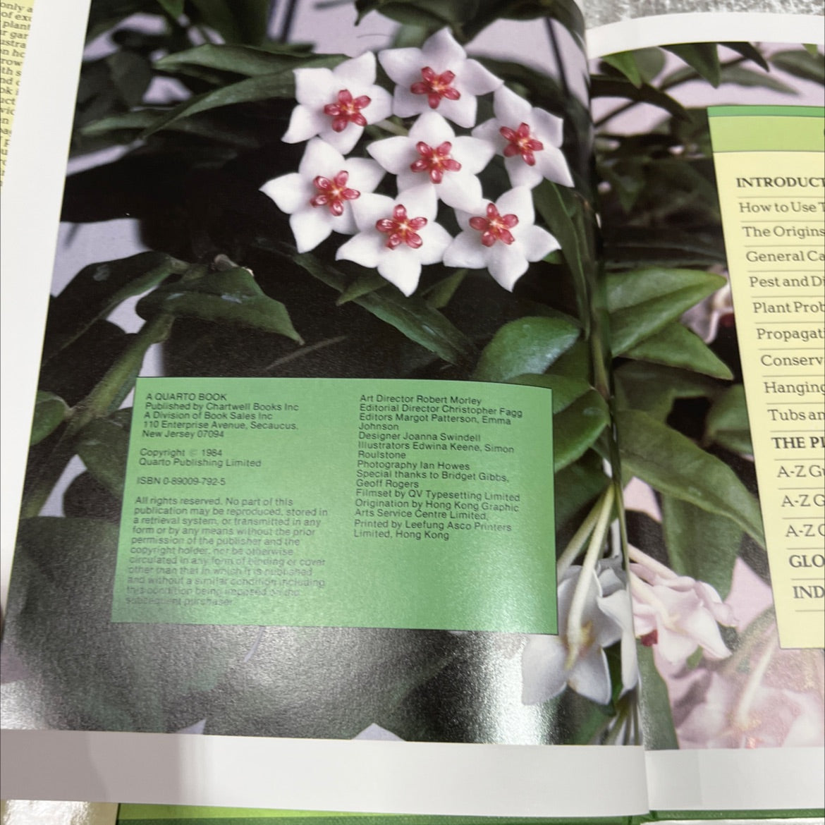 exotic indoor plants the easy guide to buying and growing spectacular varieties book, by William Davidson, 1984 image 3