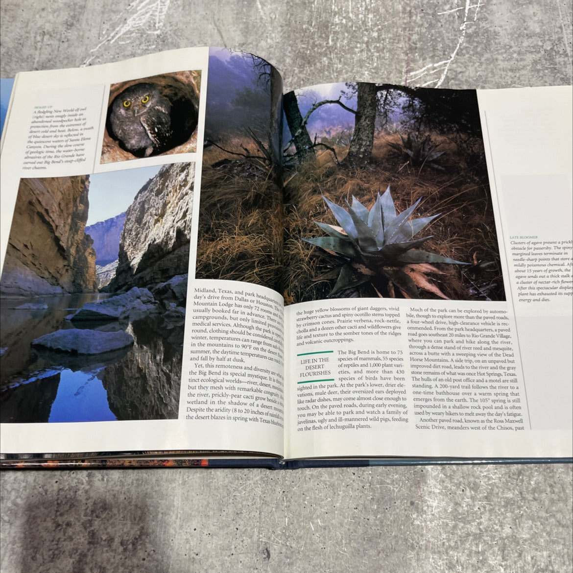 explore america national parks book, by the reader's digest association, inc., 1993 Hardcover image 4