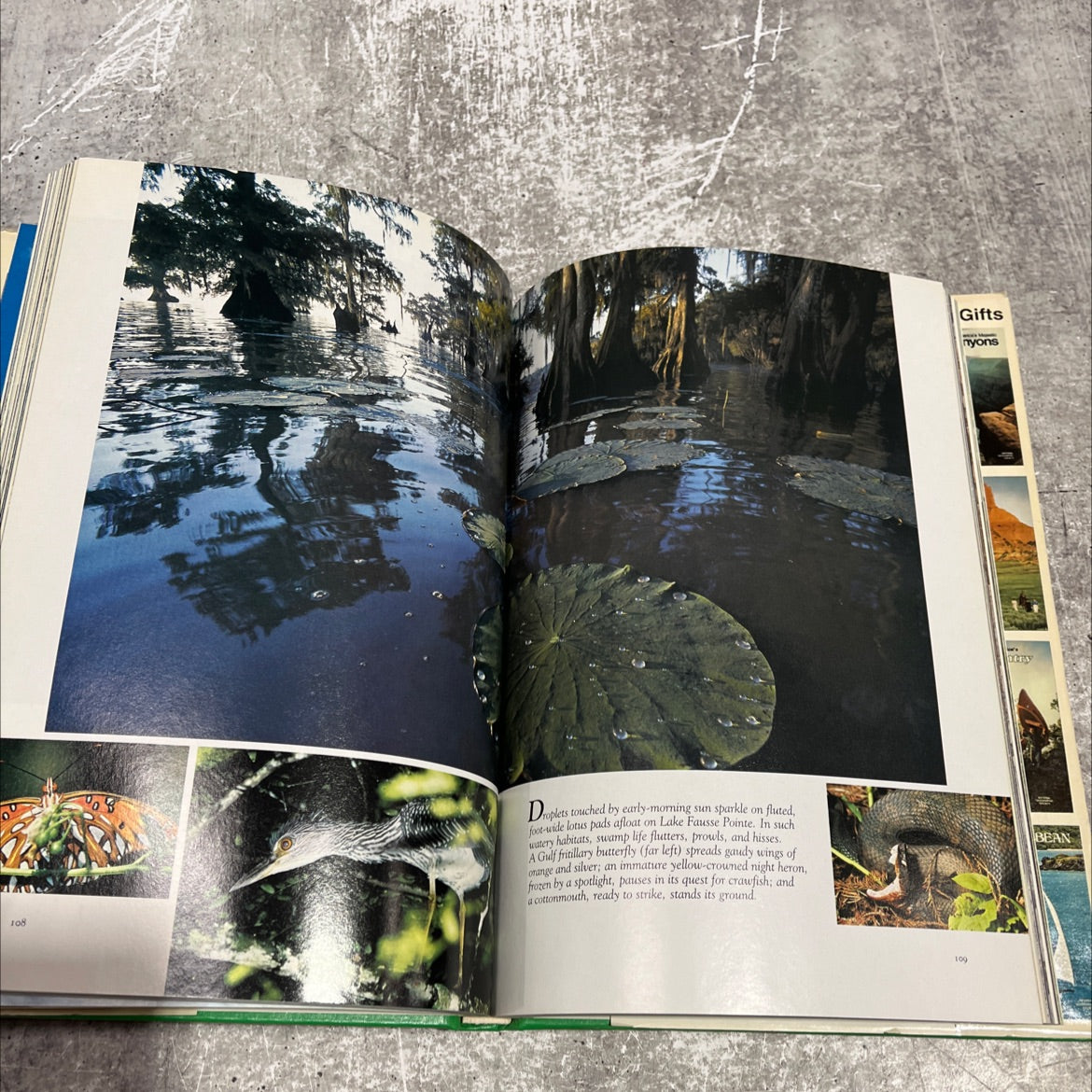 exploring america's backcountry book, by chris eckstrom lee, 1979 Hardcover image 4