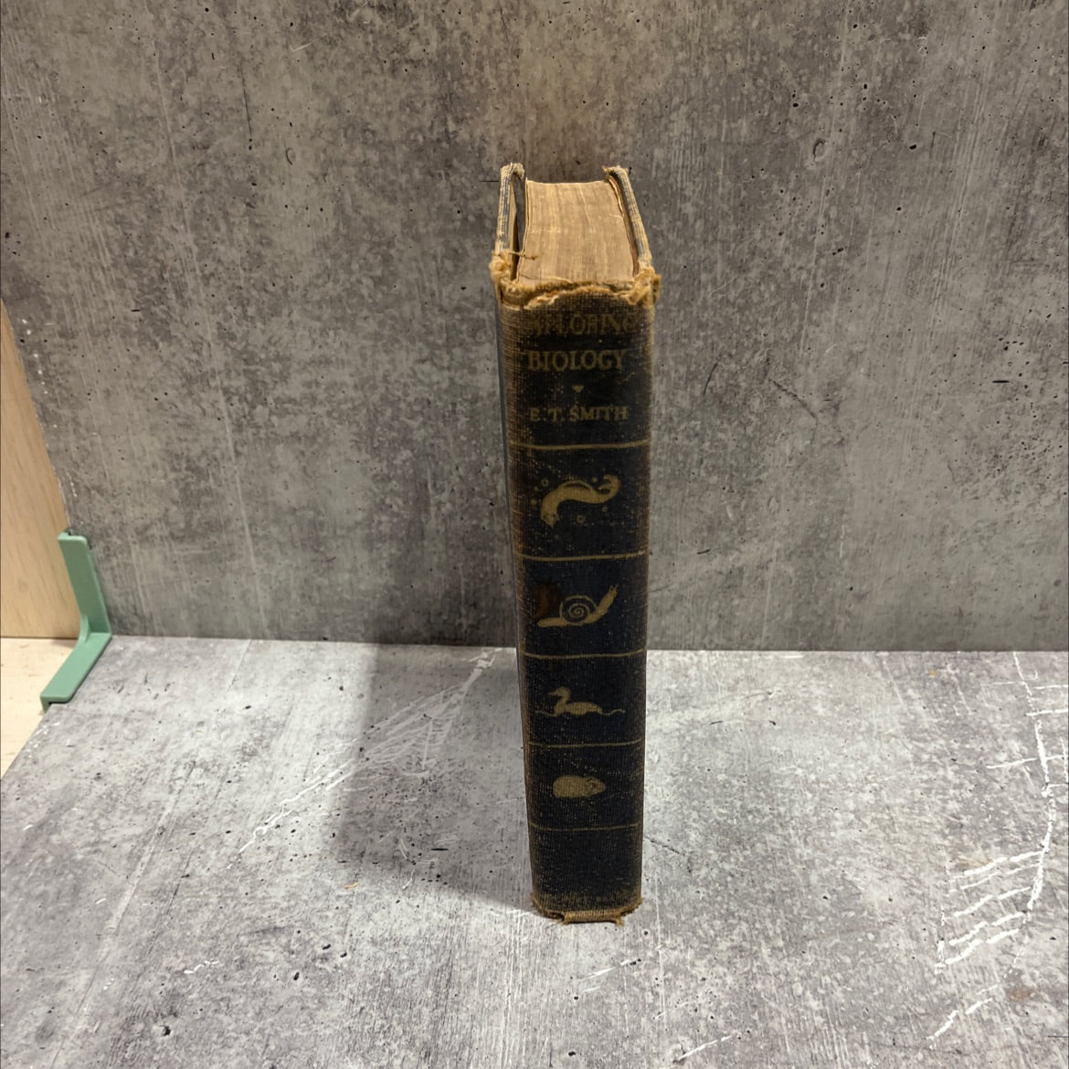 exploring biology book, by spiker james spiker, 1939 Hardcover image 4