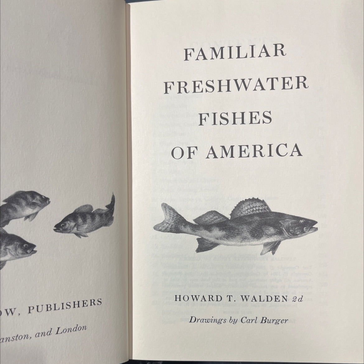 familiar freshwater fishes of america book, by howard t. walden 2d, 1964 Hardcover image 2