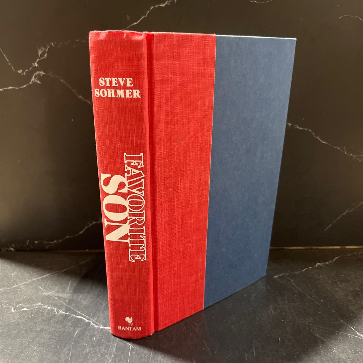 favorite son book, by Steve Sohmer, 1987 Hardcover image 1