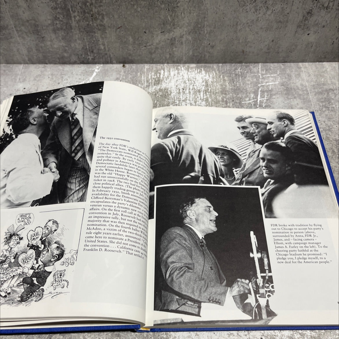 fdr 1882-1945 a centenary remembrance book, by joseph alsop, 1982 Hardcover image 4