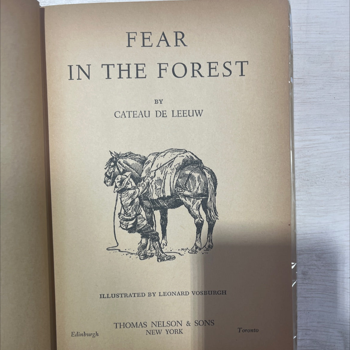 fear in the forest book, by cateau de leeuw, 1960 Hardcover, Vintage image 2