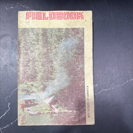 fieldbook for cub scouts scouts explorers scouters educators outdoorsmen family campers boy scouts of america book, by image 1