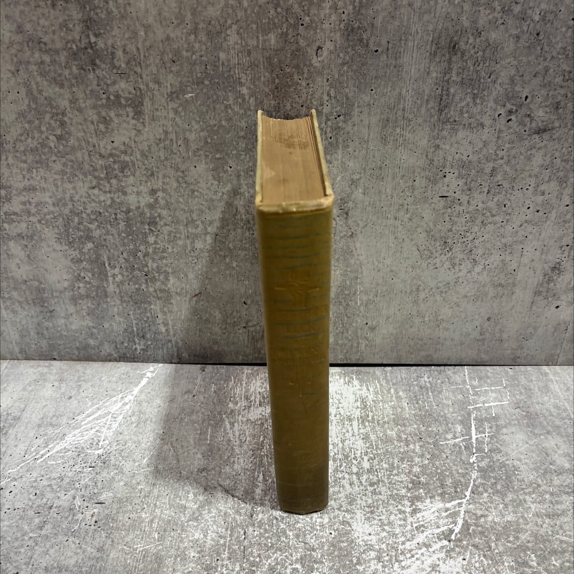 fisherman's luck and some other uncertain things book, by henry van dyke, 1904 Hardcover image 4