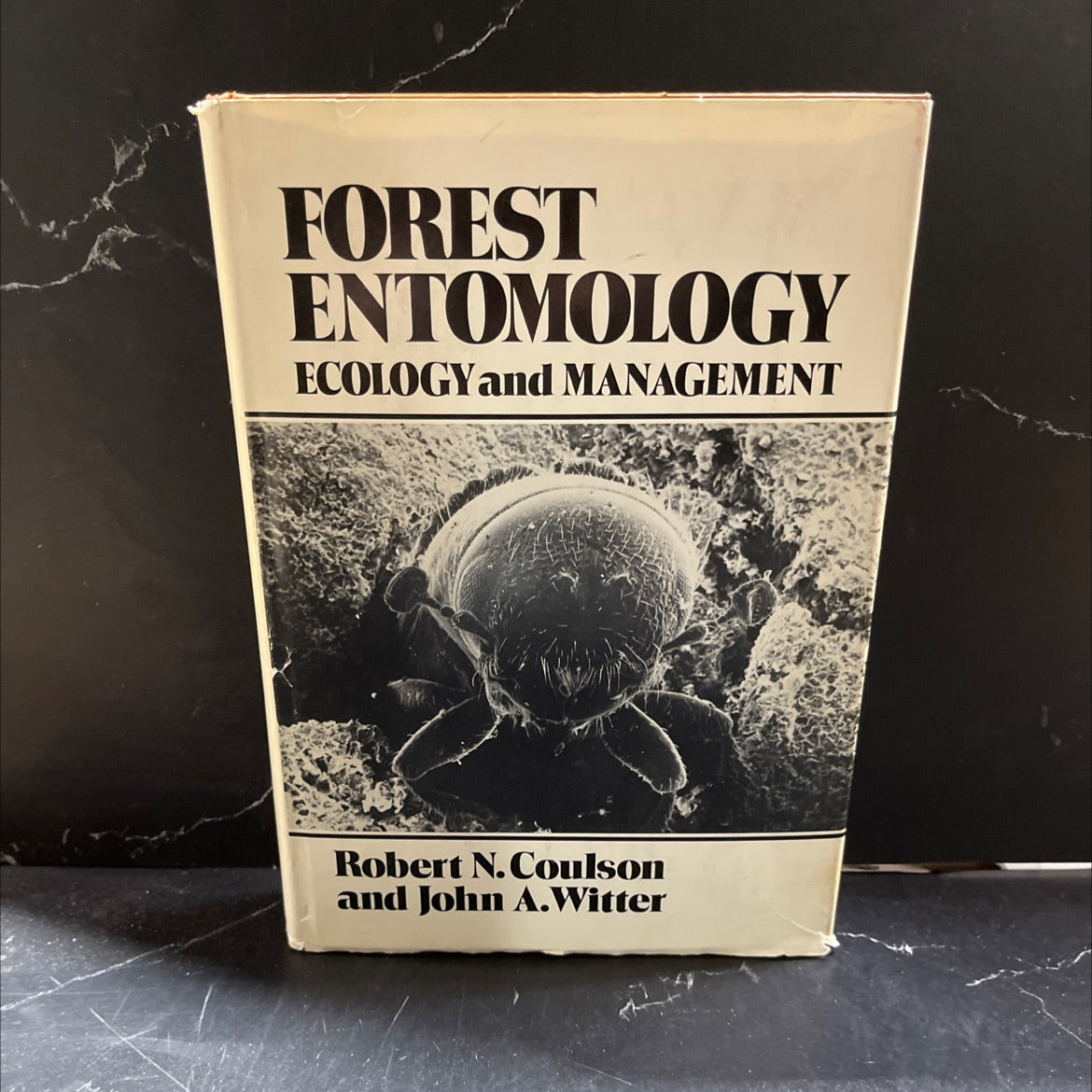 forest entomology ecology and management book, by Robert N. Coulson, John A. Witter, 1984 Hardcover image 1