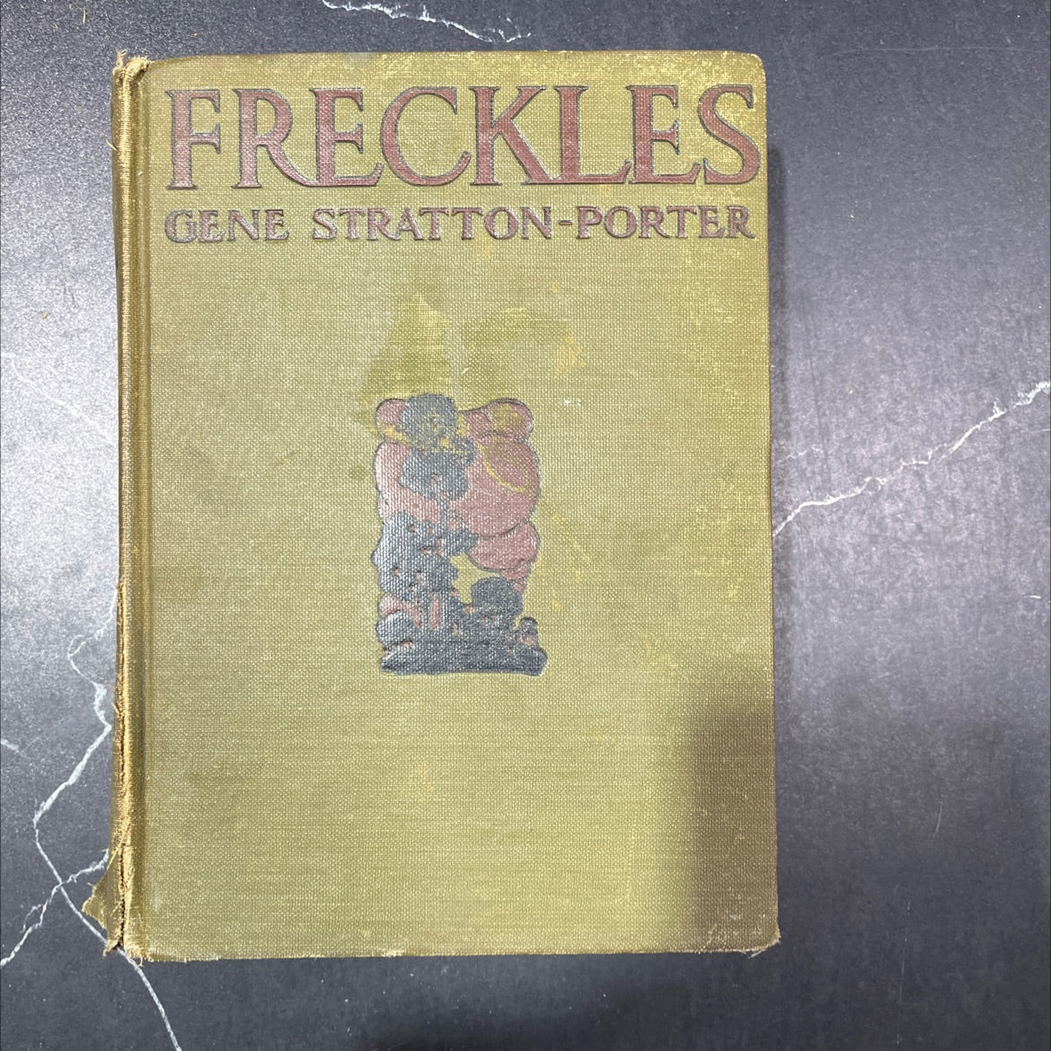 freckles book, by gene stratton porter, 1904 Hardcover image 1