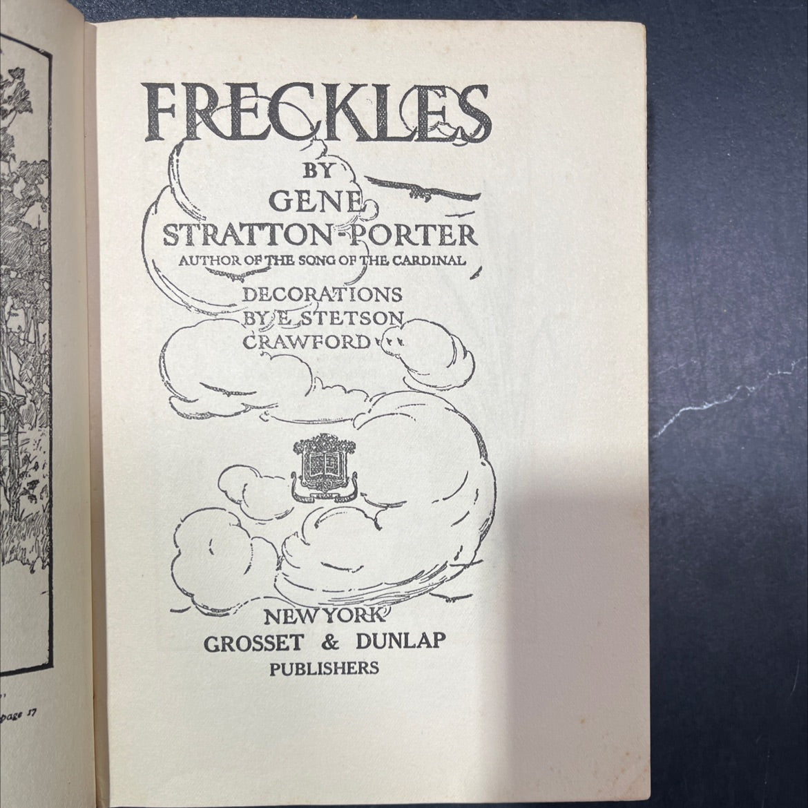freckles book, by gene stratton porter, 1904 Hardcover image 2