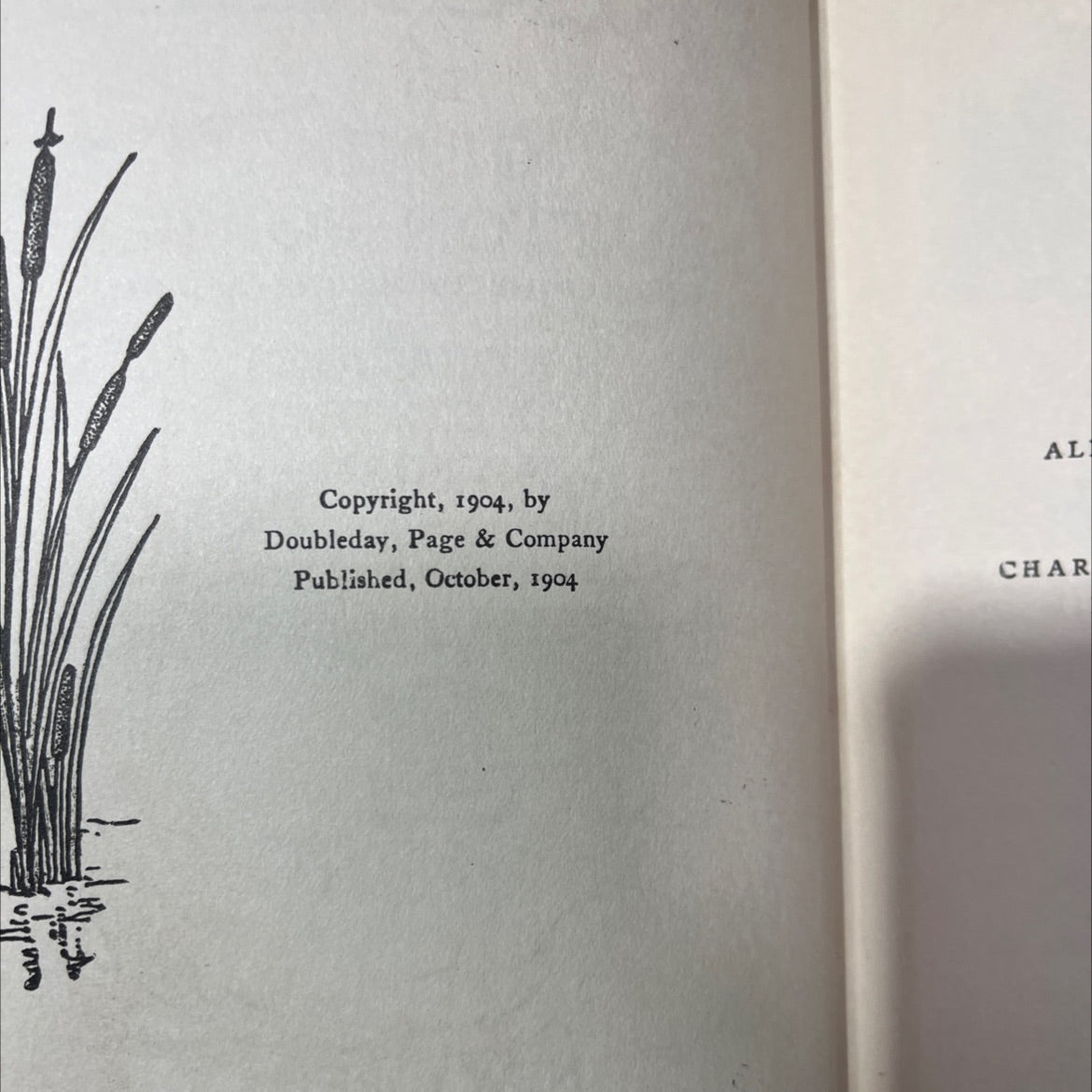 freckles book, by gene stratton porter, 1904 Hardcover image 3