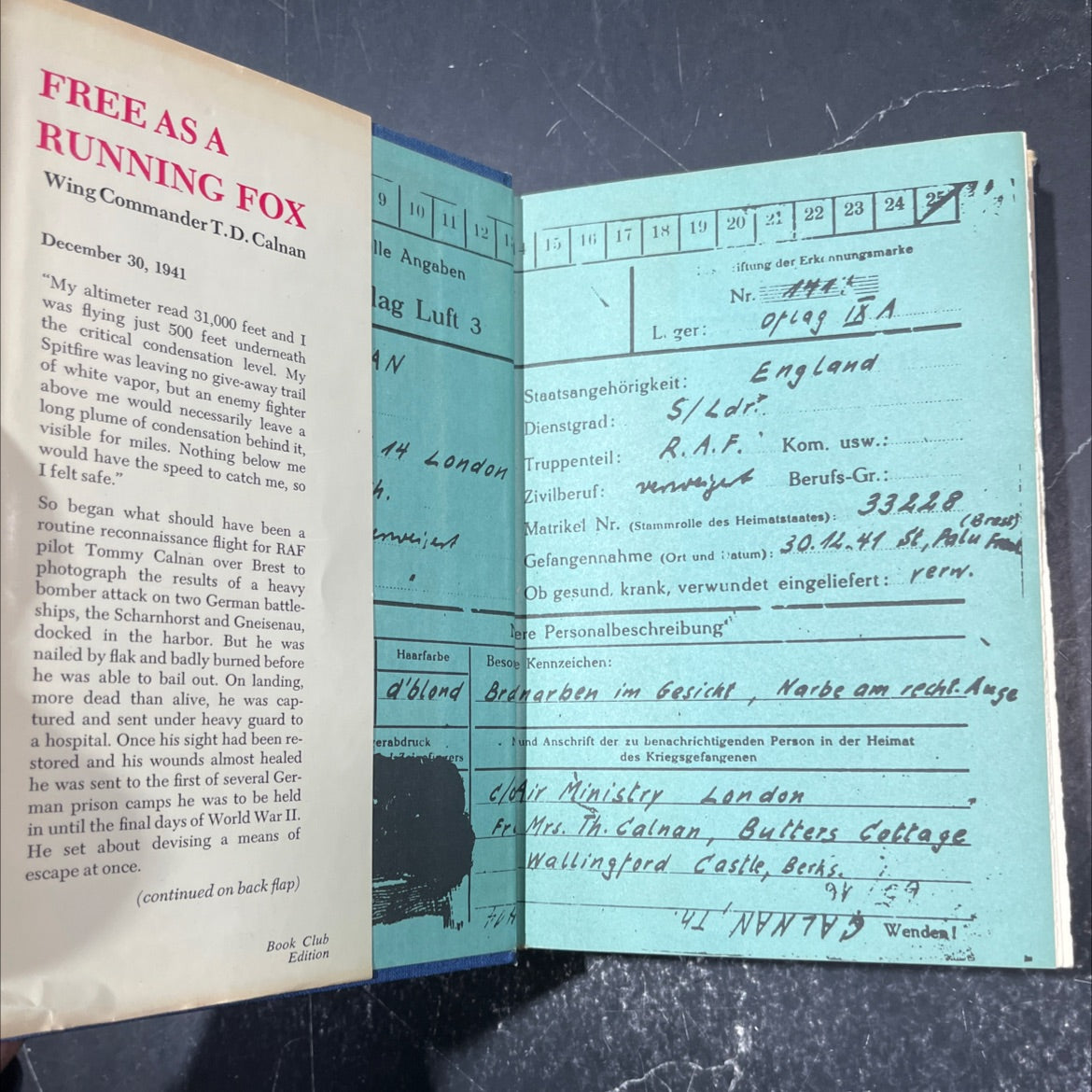 free as a running fox book, by t. d. calnan, 1970 Hardcover image 4