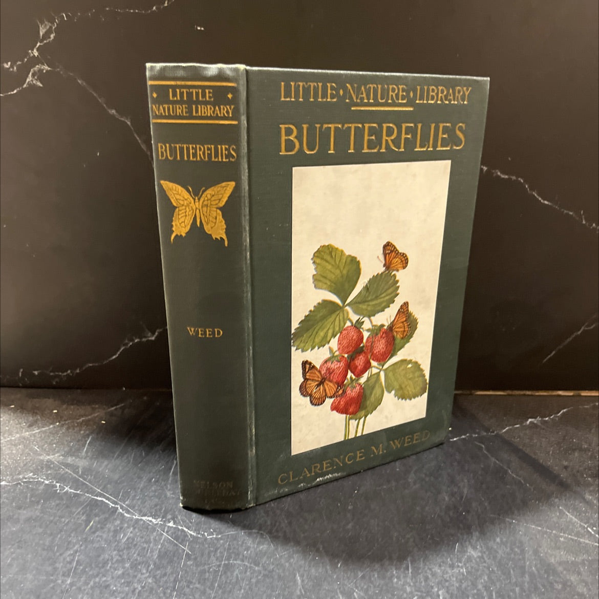 fritillary, female book, by clarence m. weed, 1923 Hardcover image 1