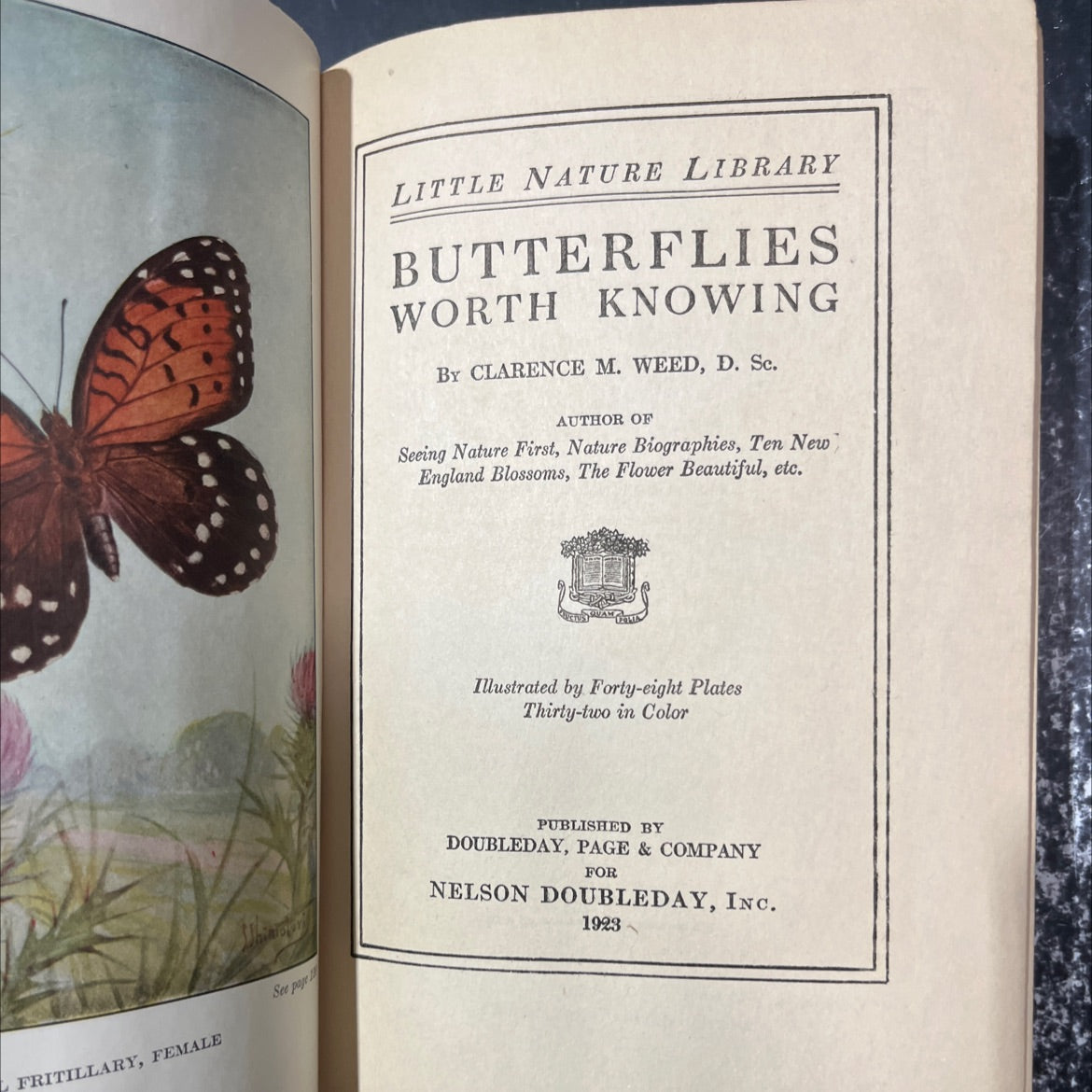 fritillary, female book, by clarence m. weed, 1923 Hardcover image 2