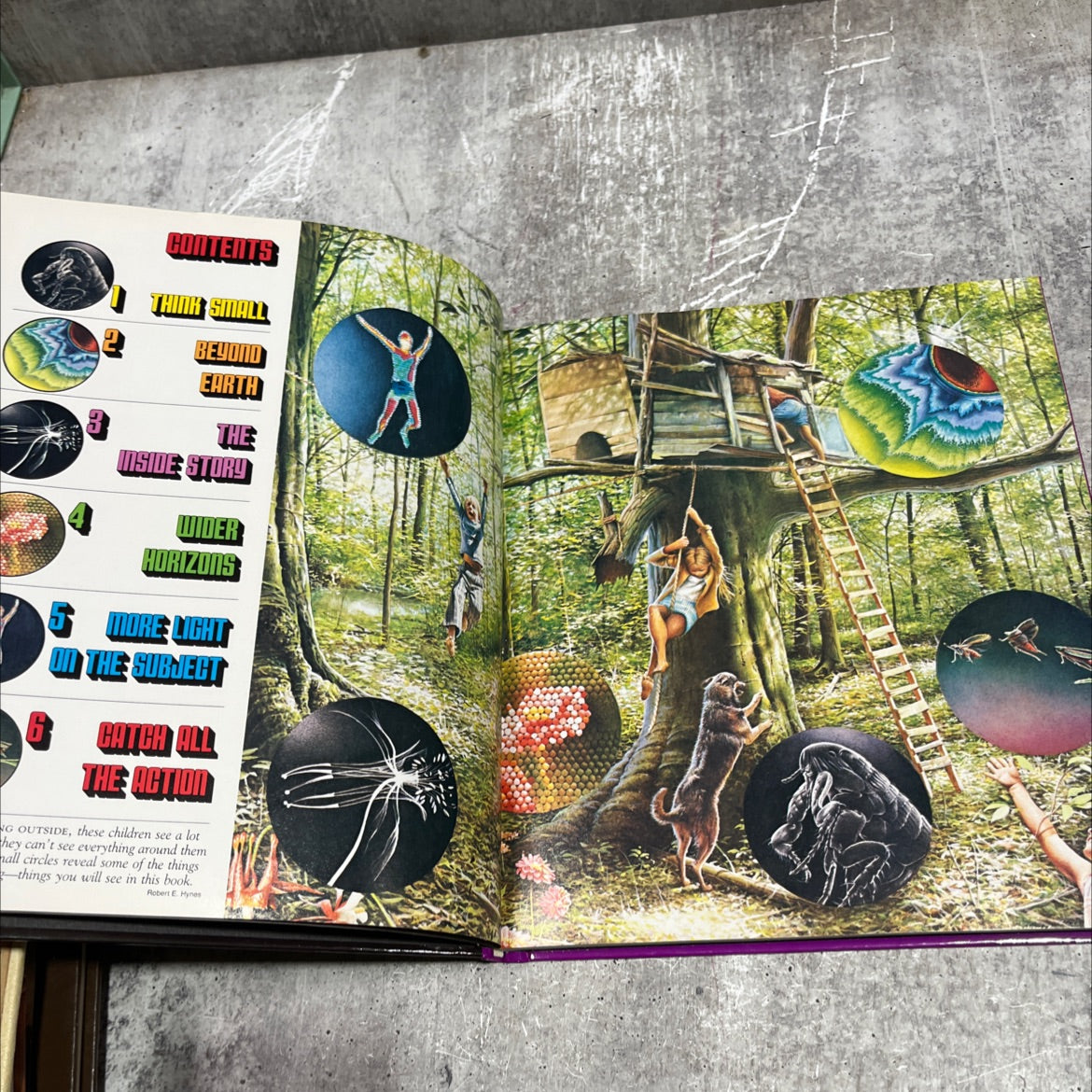 from bud to blossom book, by Peter Loughran, 1981 Hardcover image 3