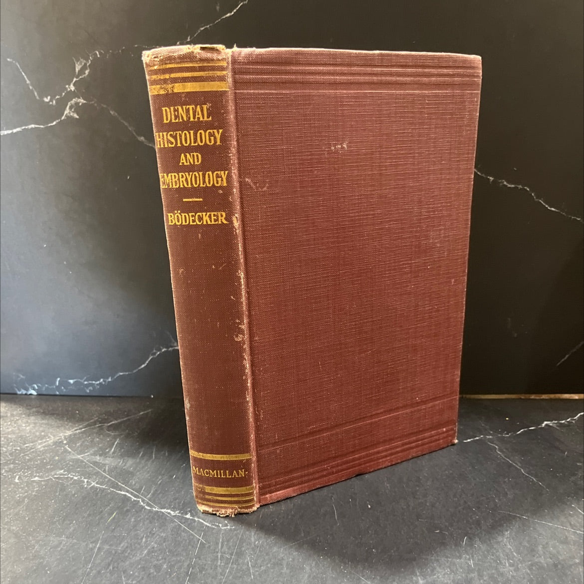 fundamentals of dental histology and embryology in diagrammatic drawings and text with appendix of microscopic image 1