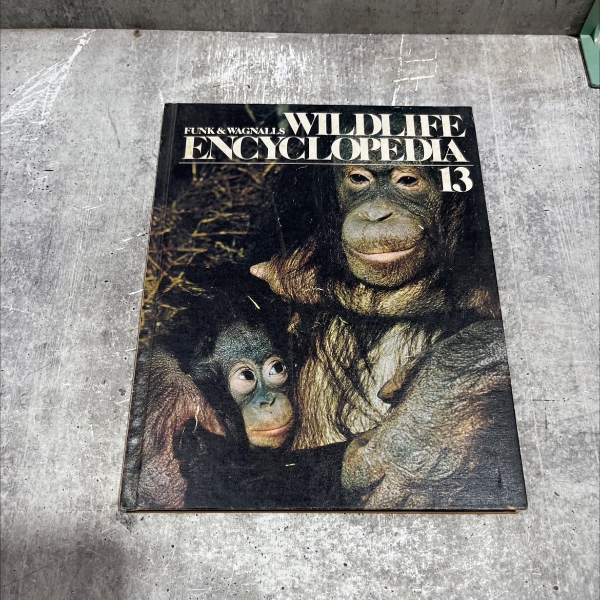 funk & wagnalls wildlife encyclopedia book, by Dr. Maurice Burton and Robert Burton, 1974 Hardcover image 1
