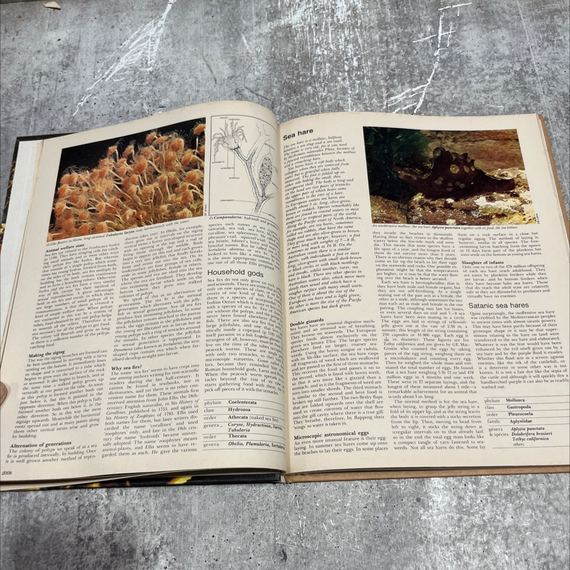 funk & wagnalls wildlife encyclopedia book, by dr. maurice burton and robert burton, 1974 Hardcover image 4