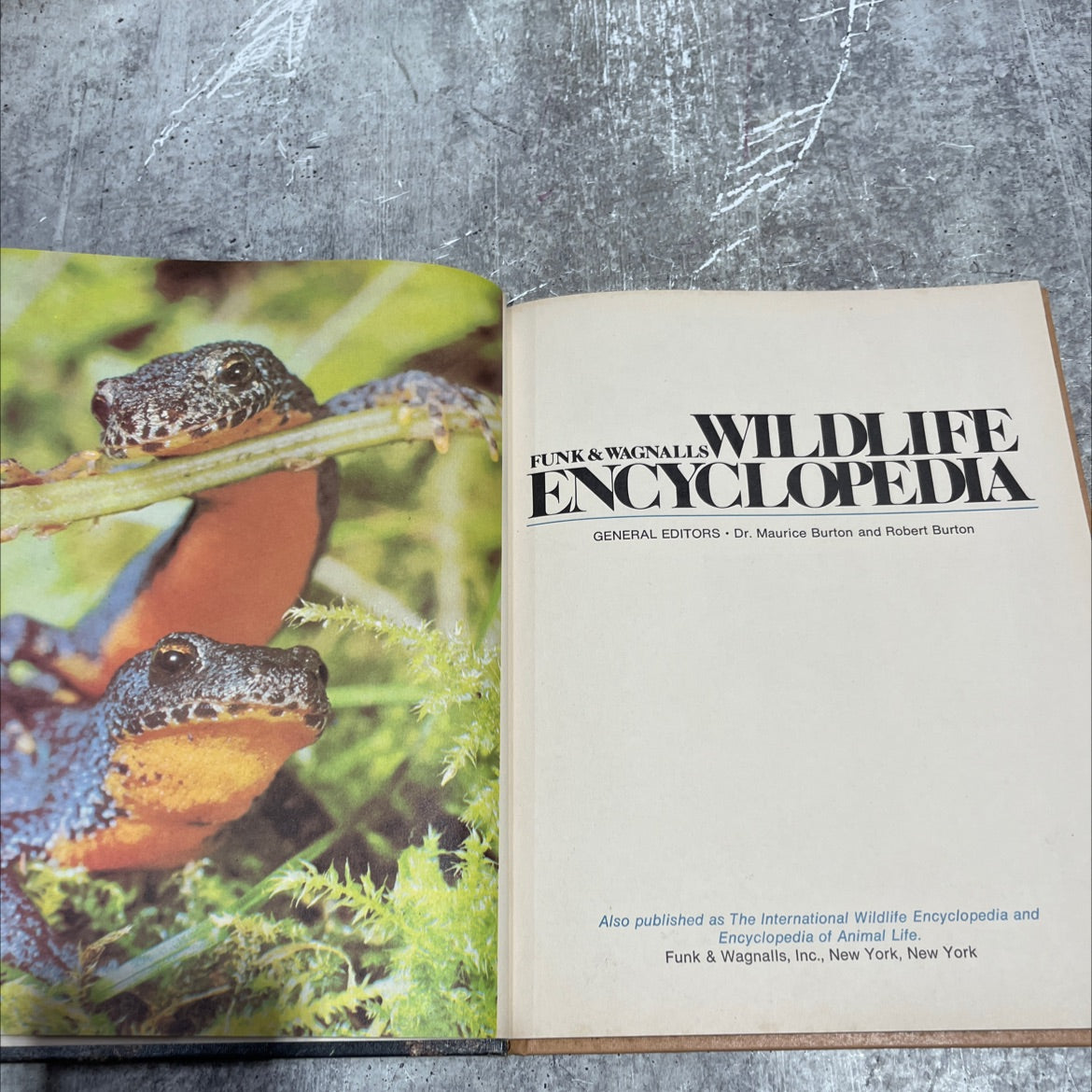 funk & wagnalls wildlife encyclopedia book, by Dr. Maurice Burton and Robert Burton, 1974 Hardcover image 2