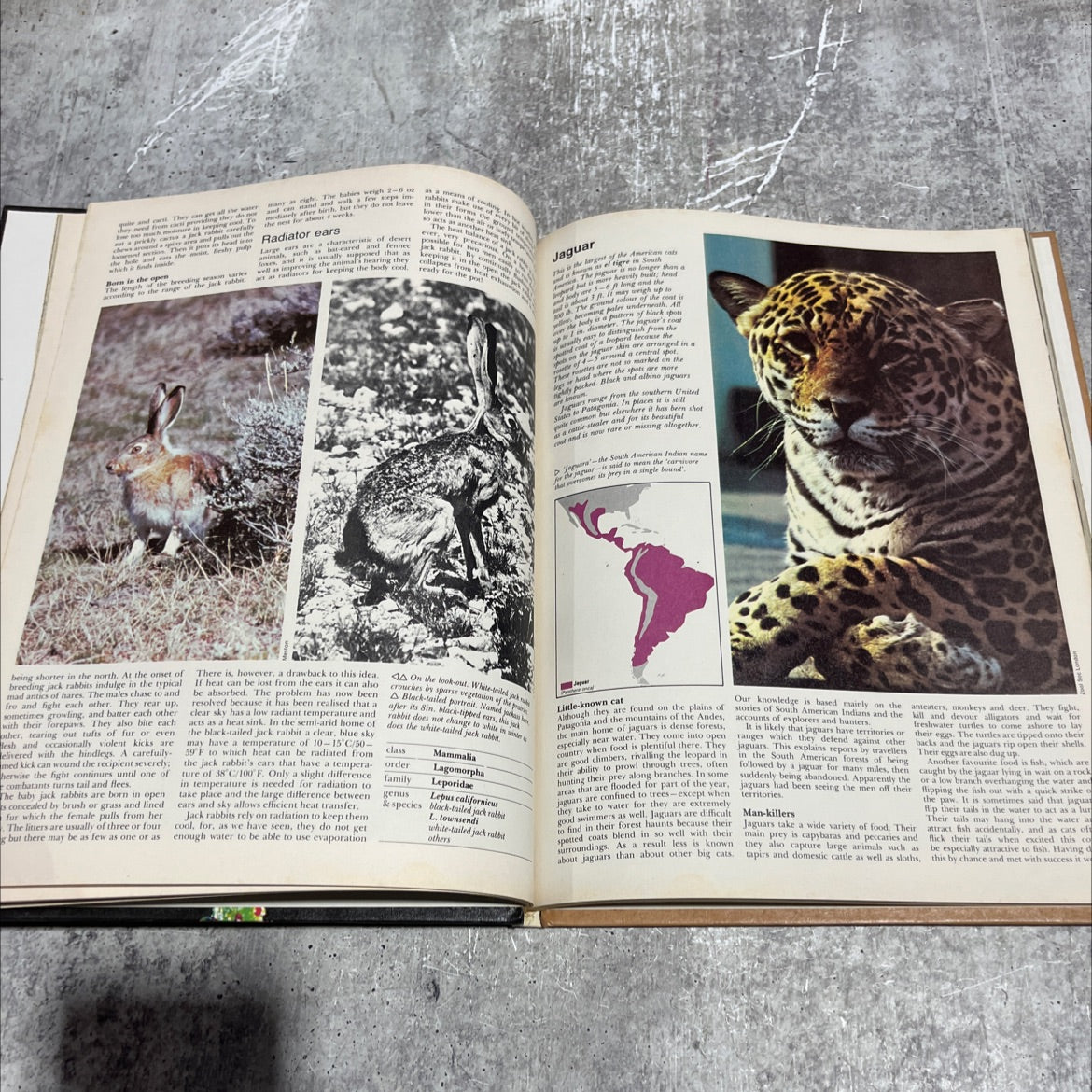 funk & wagnalls wildlife encyclopedia book, by dr. maurice burton, robert burton, 1974 Hardcover image 4
