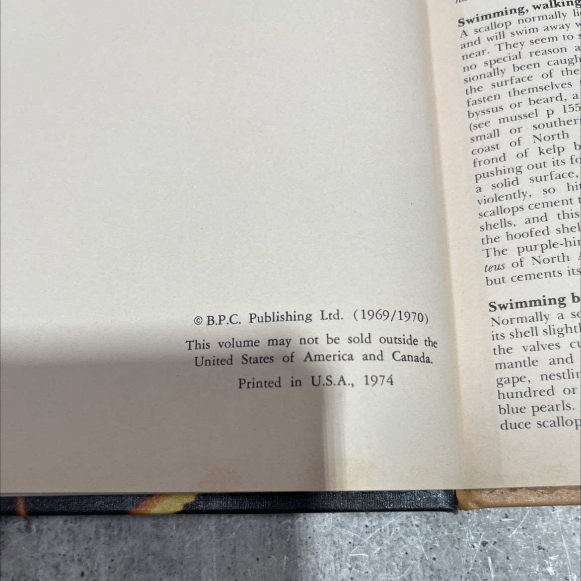 funk & wagnalls wildlife encyclopedia book, by dr. maurice burton and robert burton, 1974 Hardcover image 3