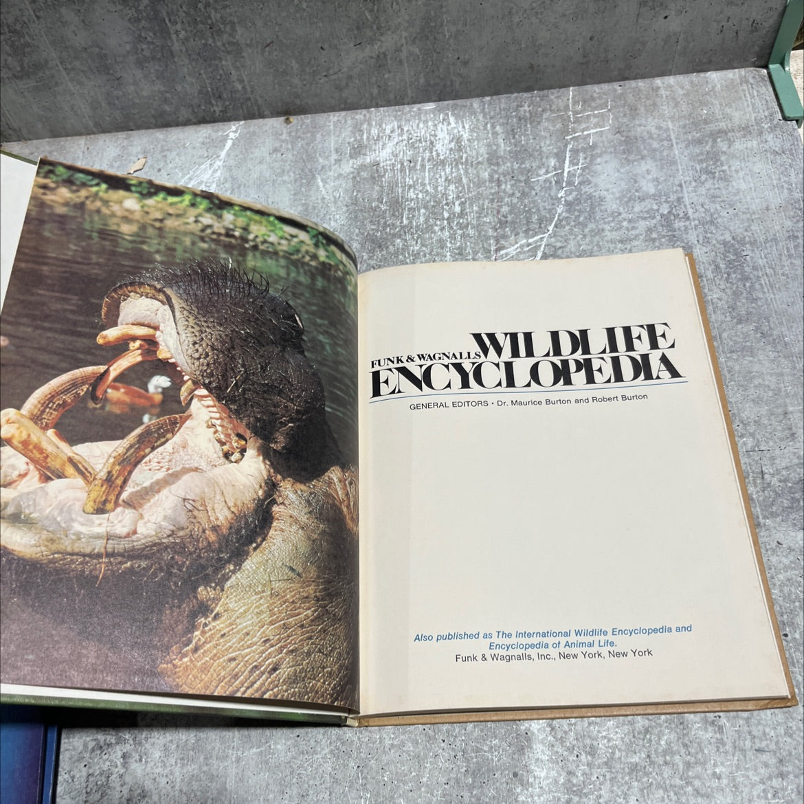 funk & wagnalls wildlife encyclopedia book, by Dr. Maurice Burton and Robert Burton, 1974 Hardcover image 2