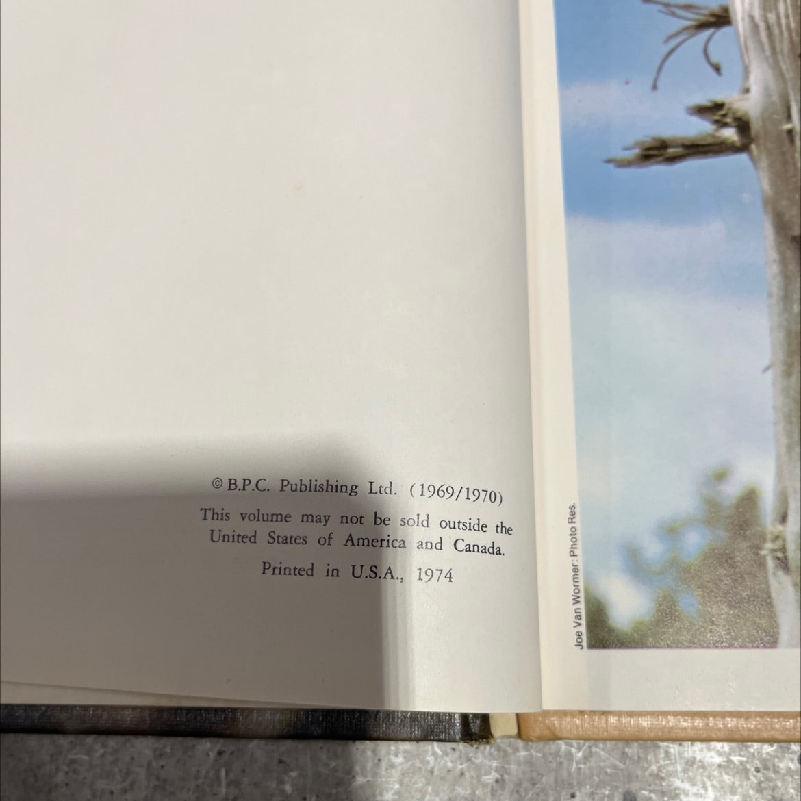 funk&wagnalls wildlife encyclopedia book, by Dr. Maurice Burton and Robert Burton, 1974 Hardcover image 3