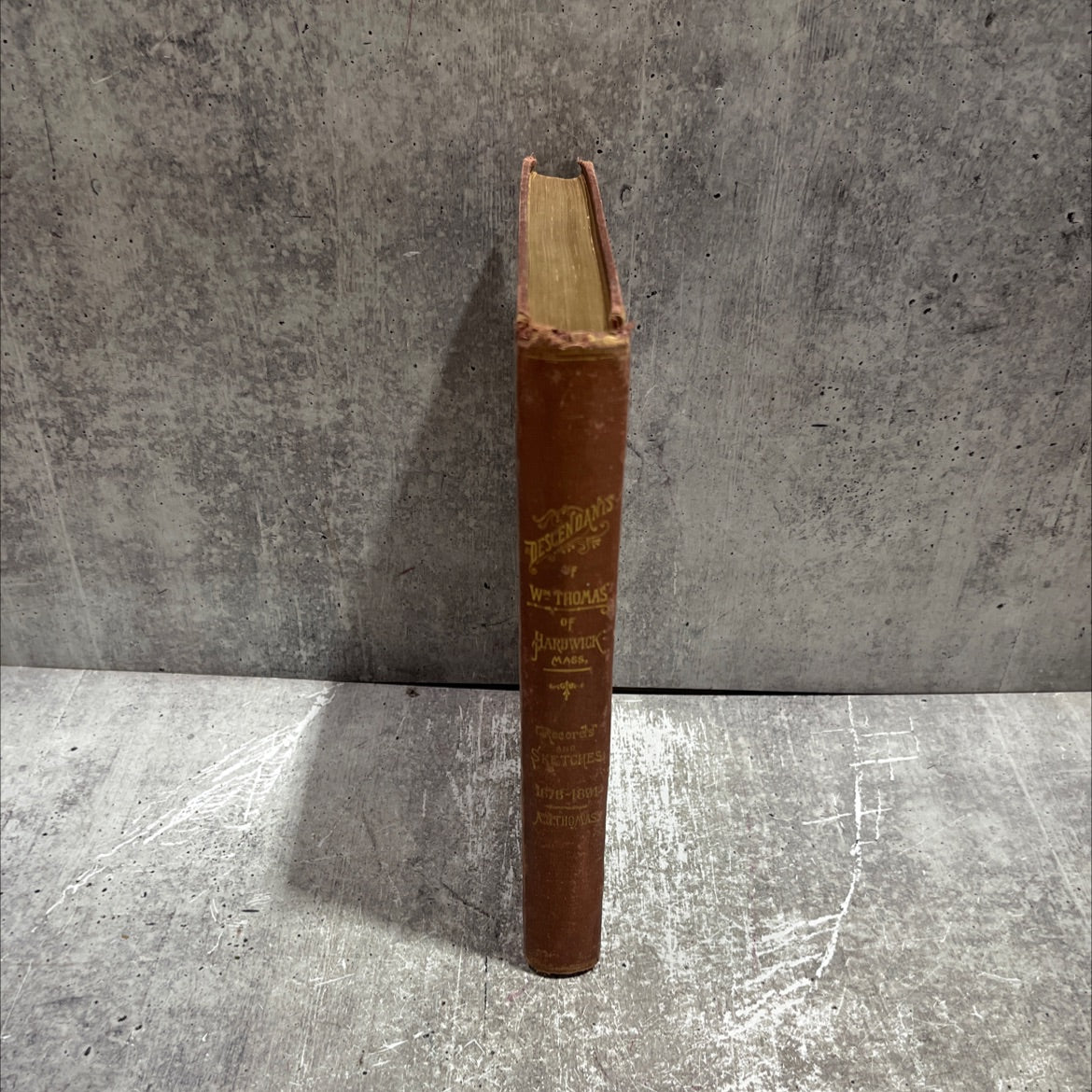 genealogical records and sketches of the descendants of william thomas, of hardwick, mass. illustrated by views and image 4