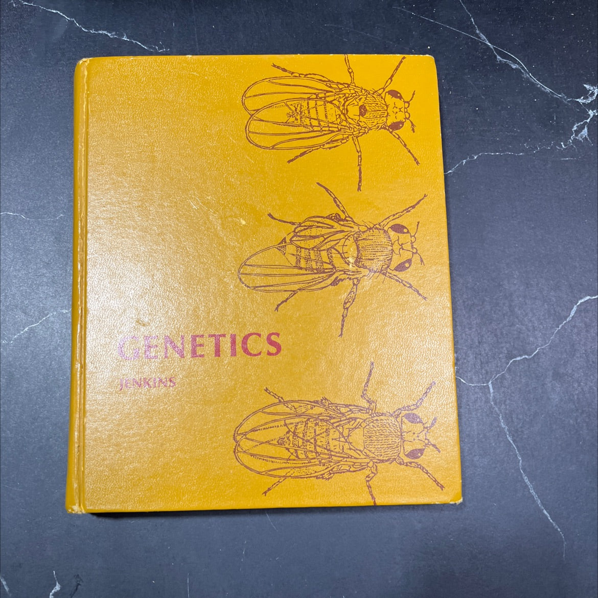 genetics book, by John B. Jenkins, 1975 Hardcover image 1