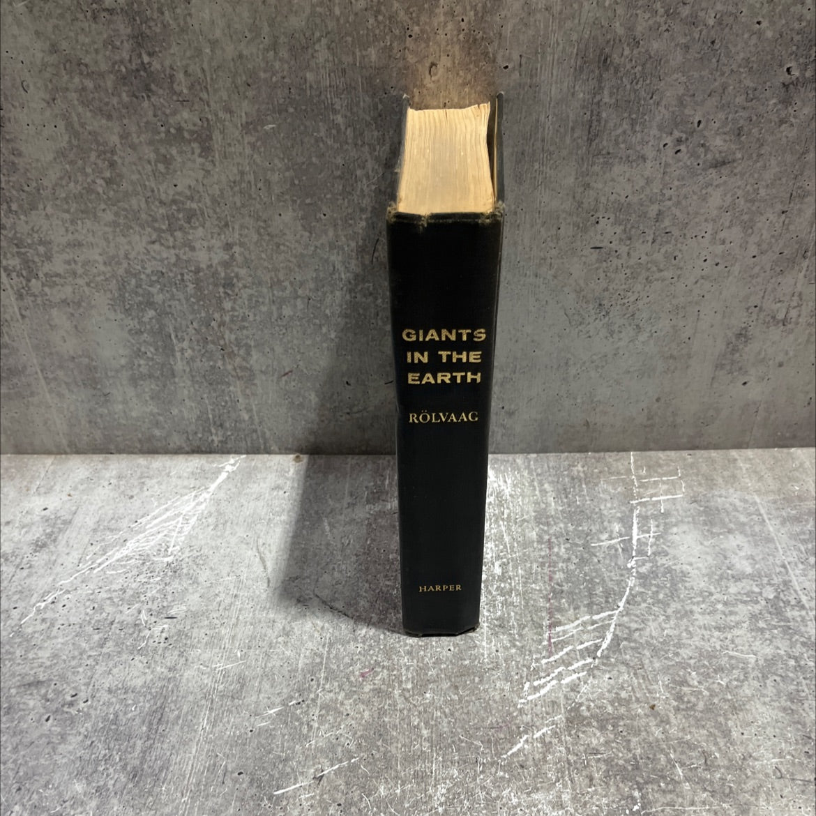 giants in the earth book, by o. e. rölvaag, 1929 Hardcover image 4