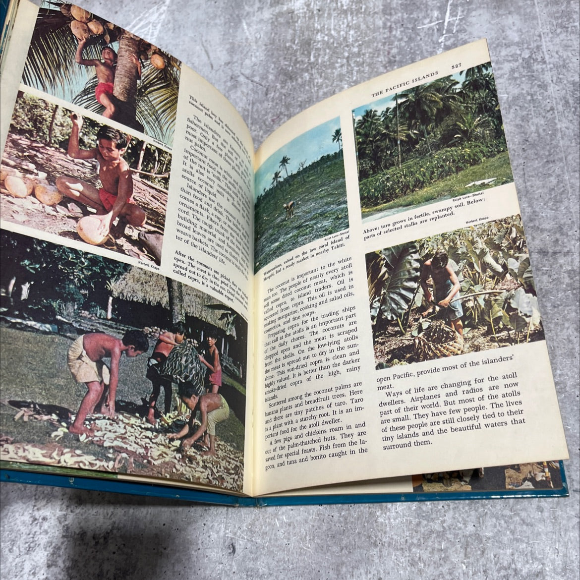 golden book picture atlas of the world in six volumes book, by philip bacon, 1960 Hardcover image 4
