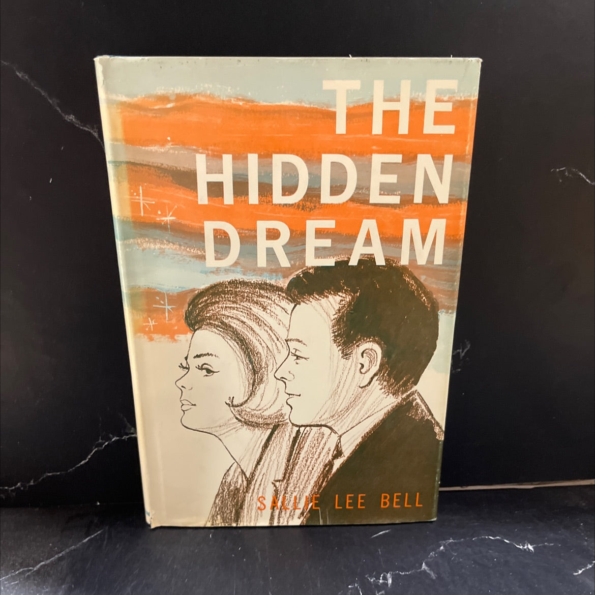 grand rapids the hidden dream book, by sallie lee bell, 1967 Hardcover image 1