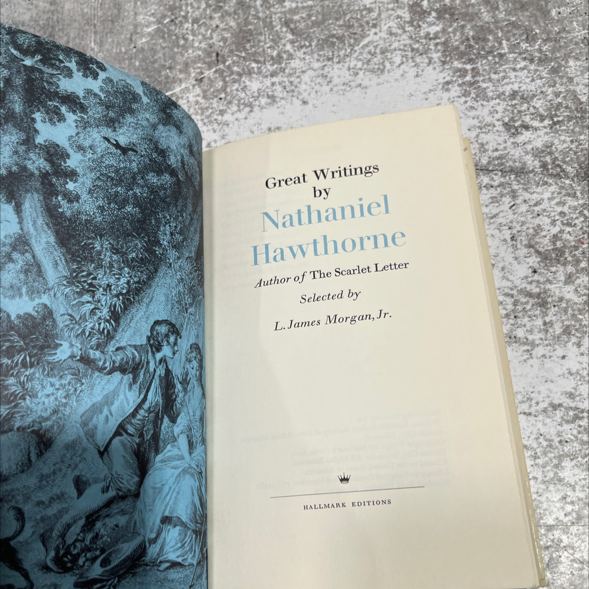 great writings by nathaniel hawthorne book, by nathaniel hawthorne, 1971 Hardcover image 2