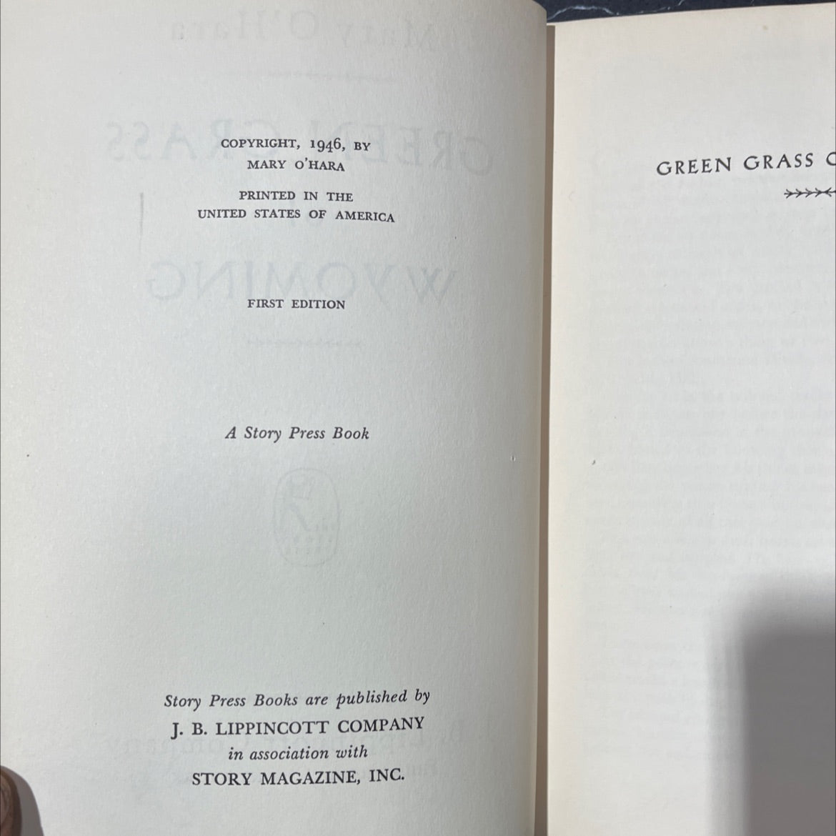 green grass of wyoming book, by Mary O'Hara, 1946 Hardcover, First Edition image 3