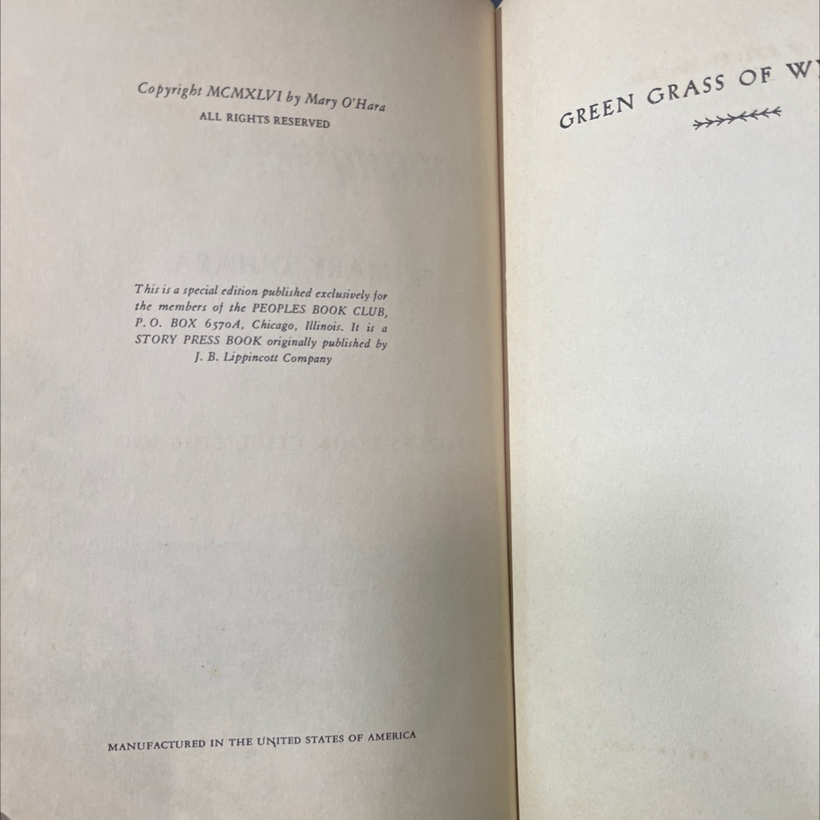 green grass of wyoming book, by mary o'hara, 1946 Hardcover image 3
