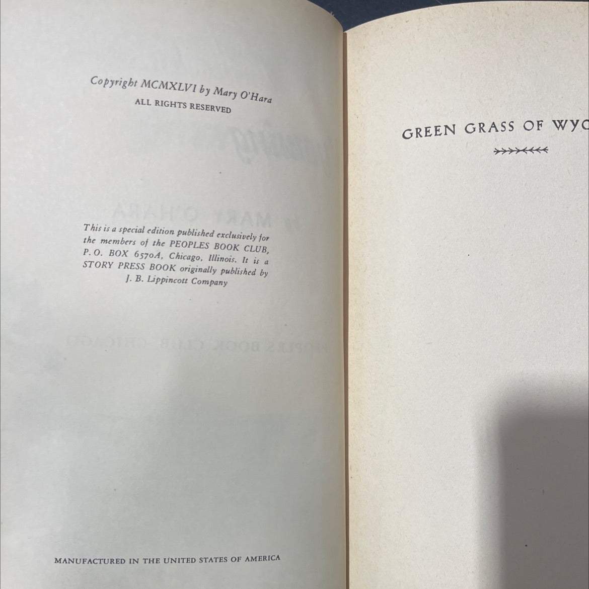 green grass of wyoming book, by mary o'hara, 1946 Hardcover image 3