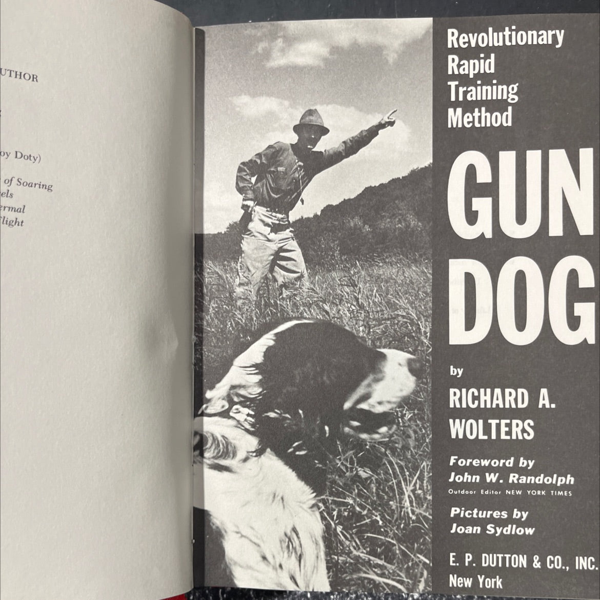 gun dog book, by richard a. wolters, 1961 Hardcover image 2