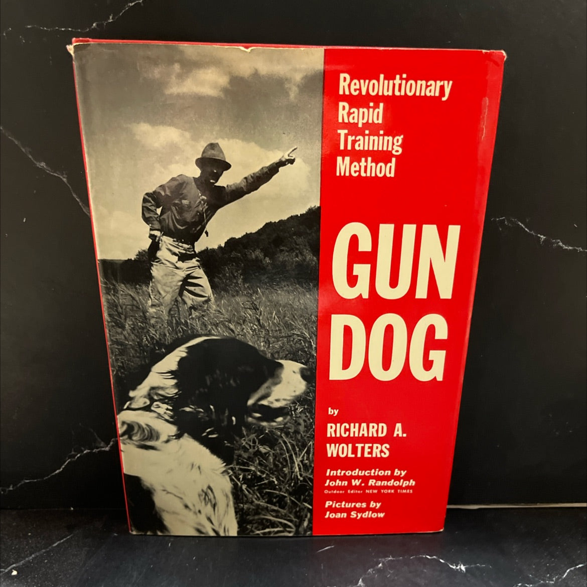 gun dog book, by richard a. wolters, 1961 Hardcover image 1
