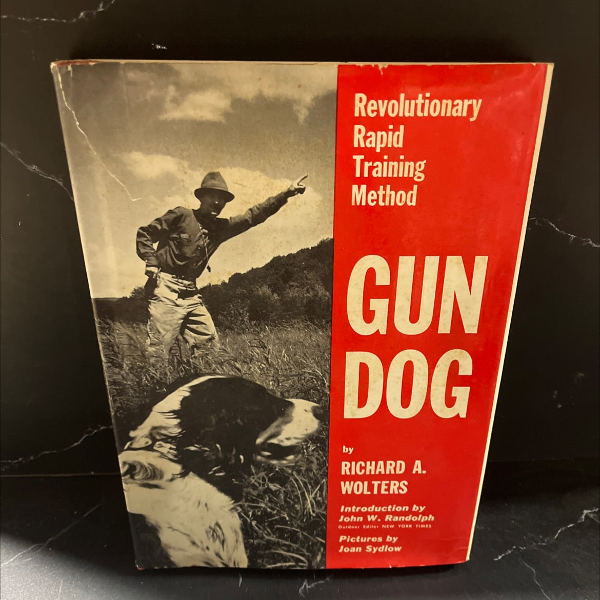 gun dog book, by richard a. wolters, 1961 Hardcover image 1