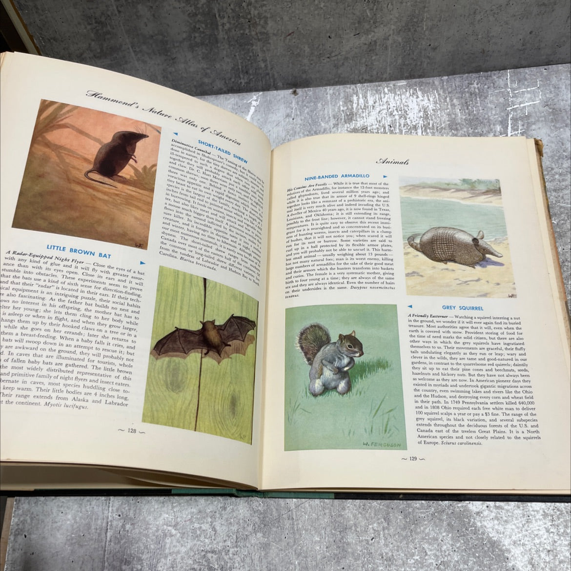 hammond's nature atlas of america book, by e. l. jordan, 1952 Hardcover image 4