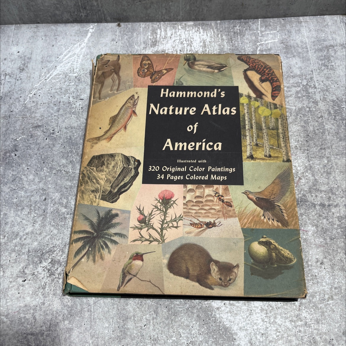 hammond's nature atlas of america book, by e. l. jordan, 1952 Hardcover image 1