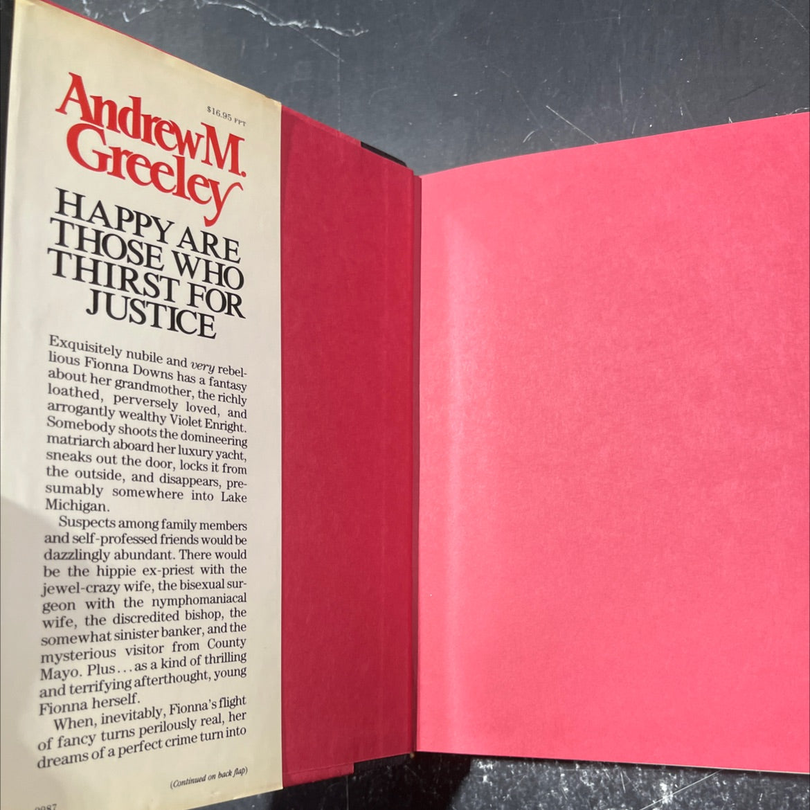 happy are those who thirst for justice book, by Andrew M. Greeley, 1987 Hardcover image 4