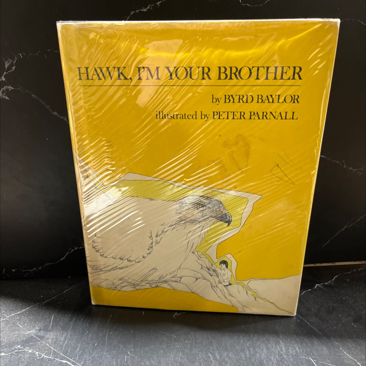 SIGNED hawk, i'm your brother book, by byrd baylor, 1976 Hardcover, Vintage image 1