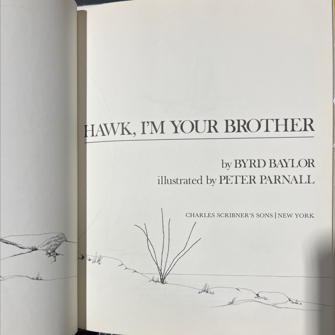 SIGNED hawk, i'm your brother book, by byrd baylor, 1976 Hardcover, Vintage image 2